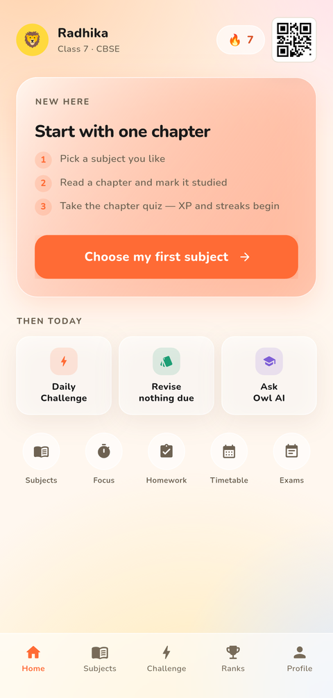 StreakOwl home screen showing the day's streak, the daily challenge and the chapter to carry on with