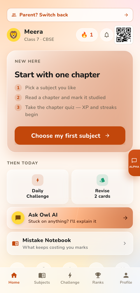 StreakOwl home screen with the daily streak counter, today's challenge card and quick actions