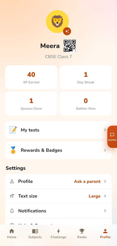 Profile screen showing the student's XP, level, badges and streak